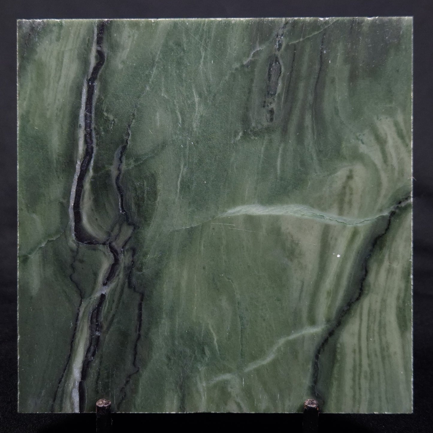 STROMATOLITE BAICALIA CAPRICORNIA, Mesoproterozoic, Australia ZBC025