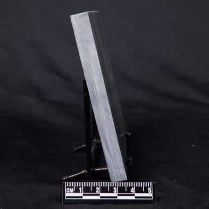 STROMATOLITE BAICALIA CAPRICORNIA, Mesoproterozoic, Australia ZBC025