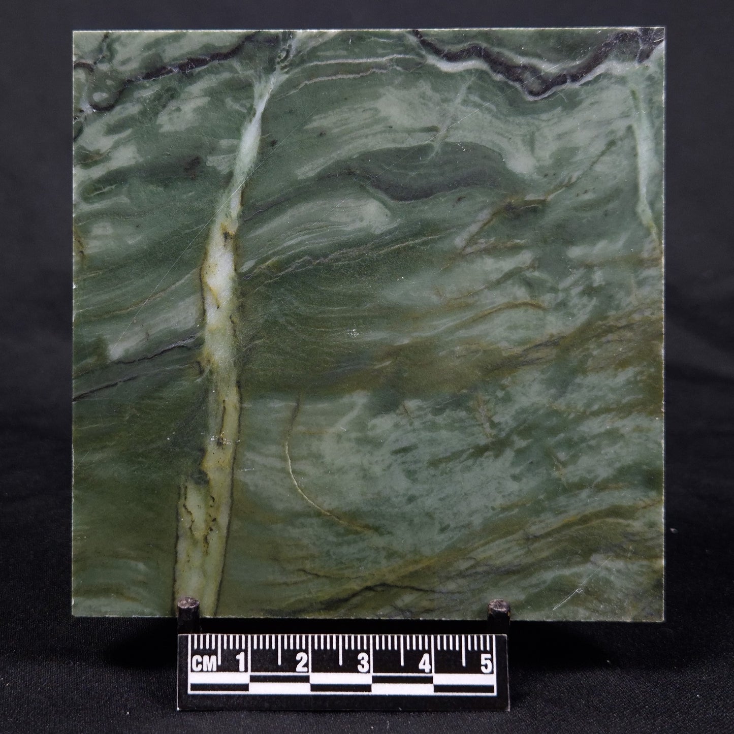 STROMATOLITE BAICALIA CAPRICORNIA, Mesoproterozoic, Australia ZBC026