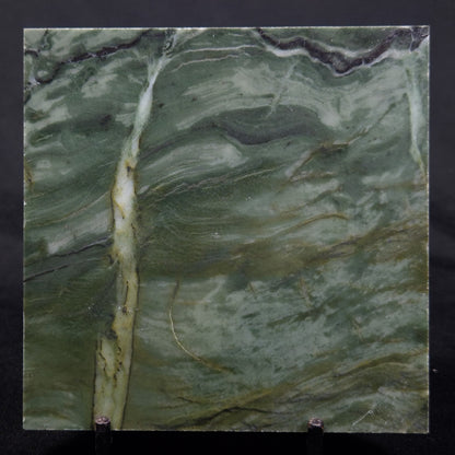 STROMATOLITE BAICALIA CAPRICORNIA, Mesoproterozoic, Australia ZBC026