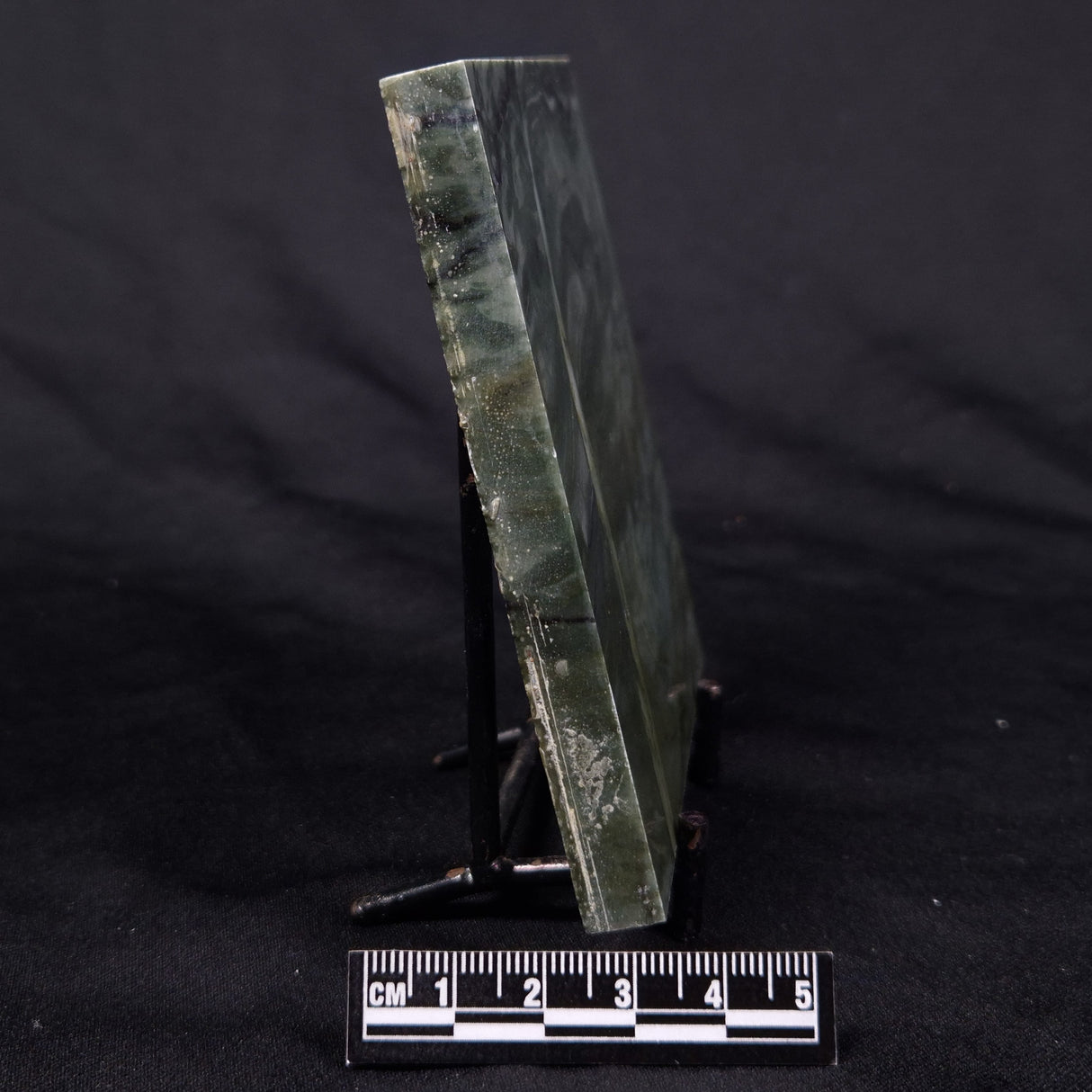 STROMATOLITE BAICALIA CAPRICORNIA, Mesoproterozoic, Australia ZBC026
