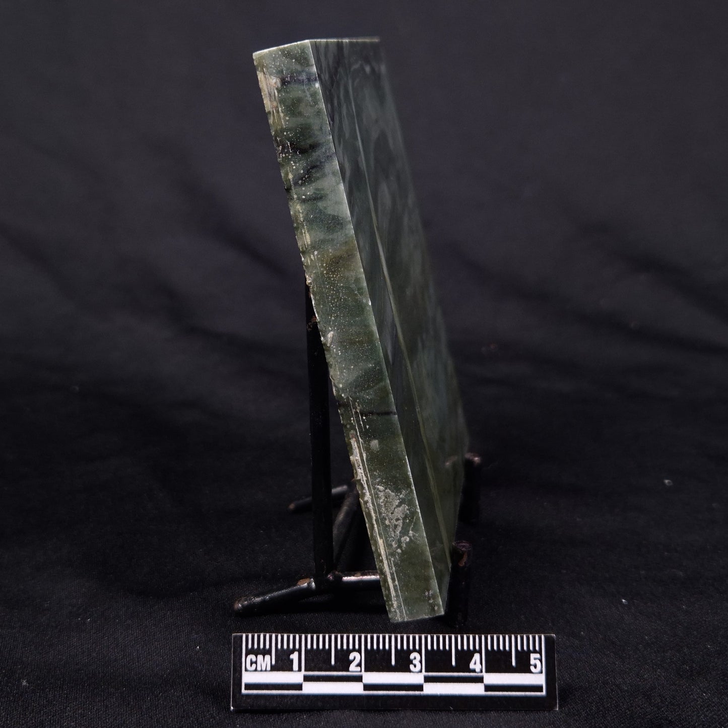 STROMATOLITE BAICALIA CAPRICORNIA, Mesoproterozoic, Australia ZBC026