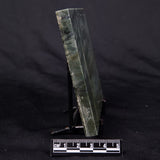 STROMATOLITE BAICALIA CAPRICORNIA, Mesoproterozoic, Australia ZBC026
