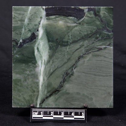 STROMATOLITE BAICALIA CAPRICORNIA, Mesoproterozoic, Australia ZBC027