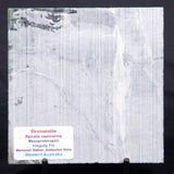 STROMATOLITE BAICALIA CAPRICORNIA, Mesoproterozoic, Australia ZBC027