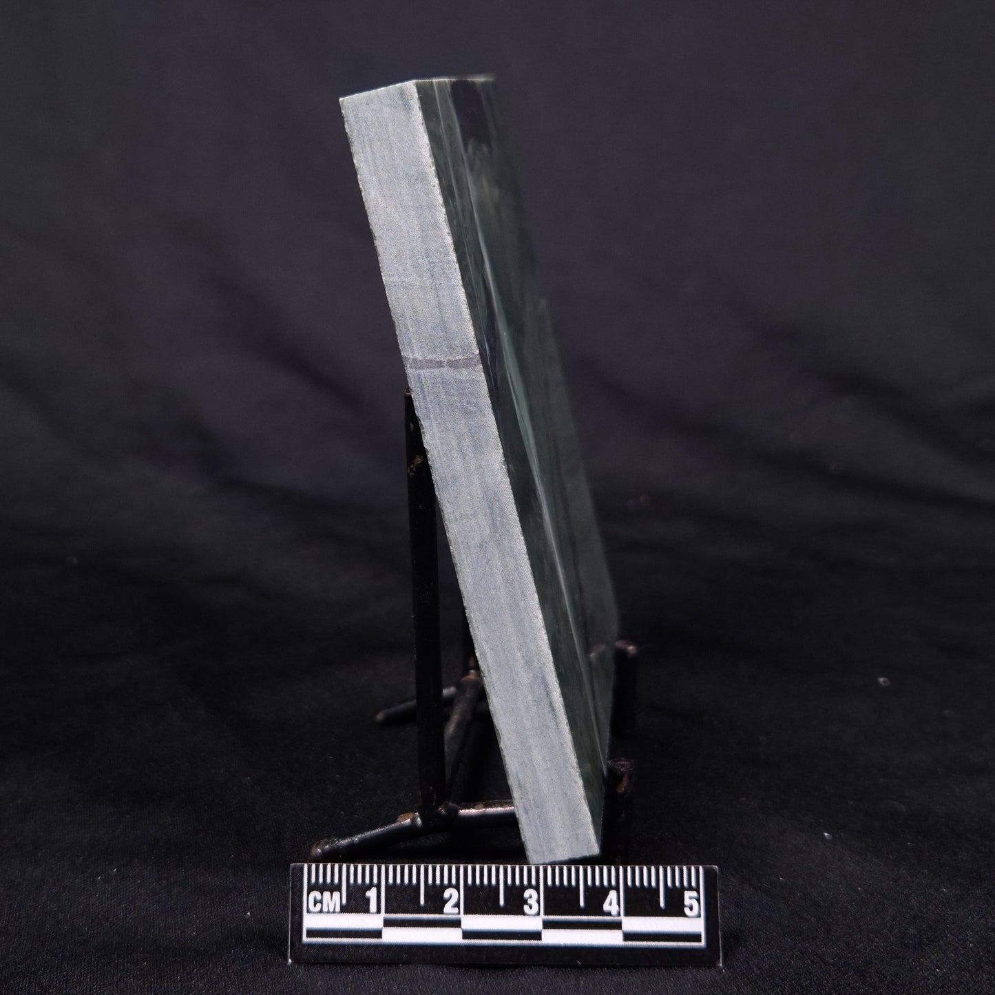 STROMATOLITE BAICALIA CAPRICORNIA, Mesoproterozoic, Australia ZBC027