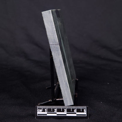 STROMATOLITE BAICALIA CAPRICORNIA, Mesoproterozoic, Australia ZBC027