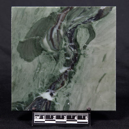 STROMATOLITE BAICALIA CAPRICORNIA, Mesoproterozoic, Australia ZBC028