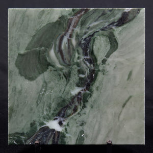 Baicalia capricornia