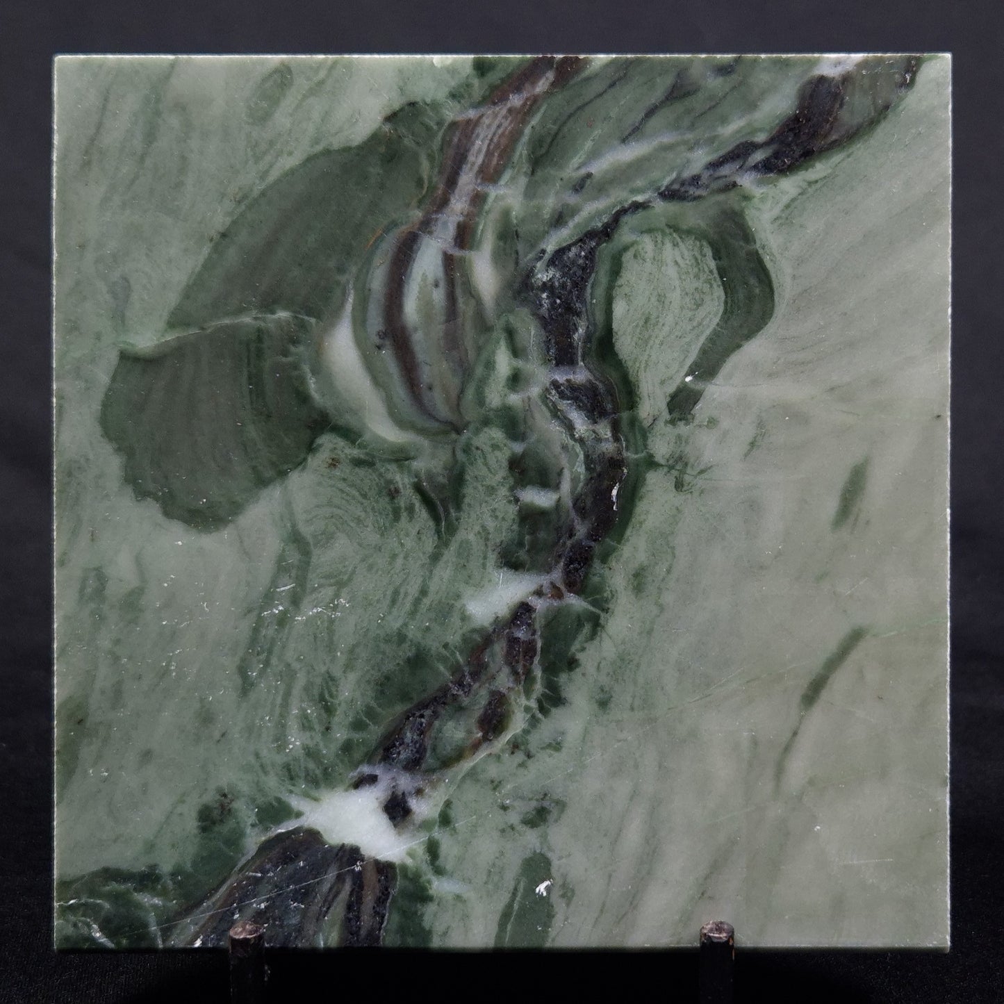 STROMATOLITE BAICALIA CAPRICORNIA, Mesoproterozoic, Australia ZBC028