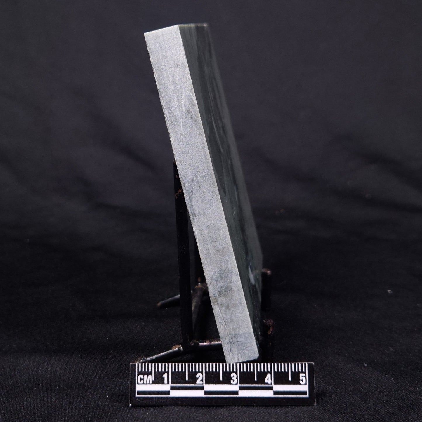 STROMATOLITE BAICALIA CAPRICORNIA, Mesoproterozoic, Australia ZBC028