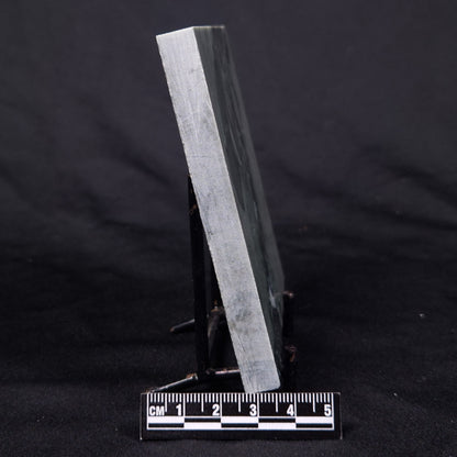 STROMATOLITE BAICALIA CAPRICORNIA, Mesoproterozoic, Australia ZBC028