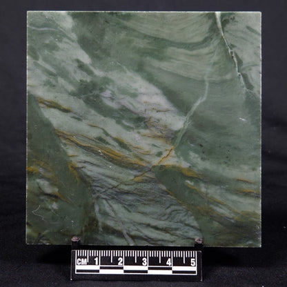 STROMATOLITE BAICALIA CAPRICORNIA, Mesoproterozoic, Australia ZBC029