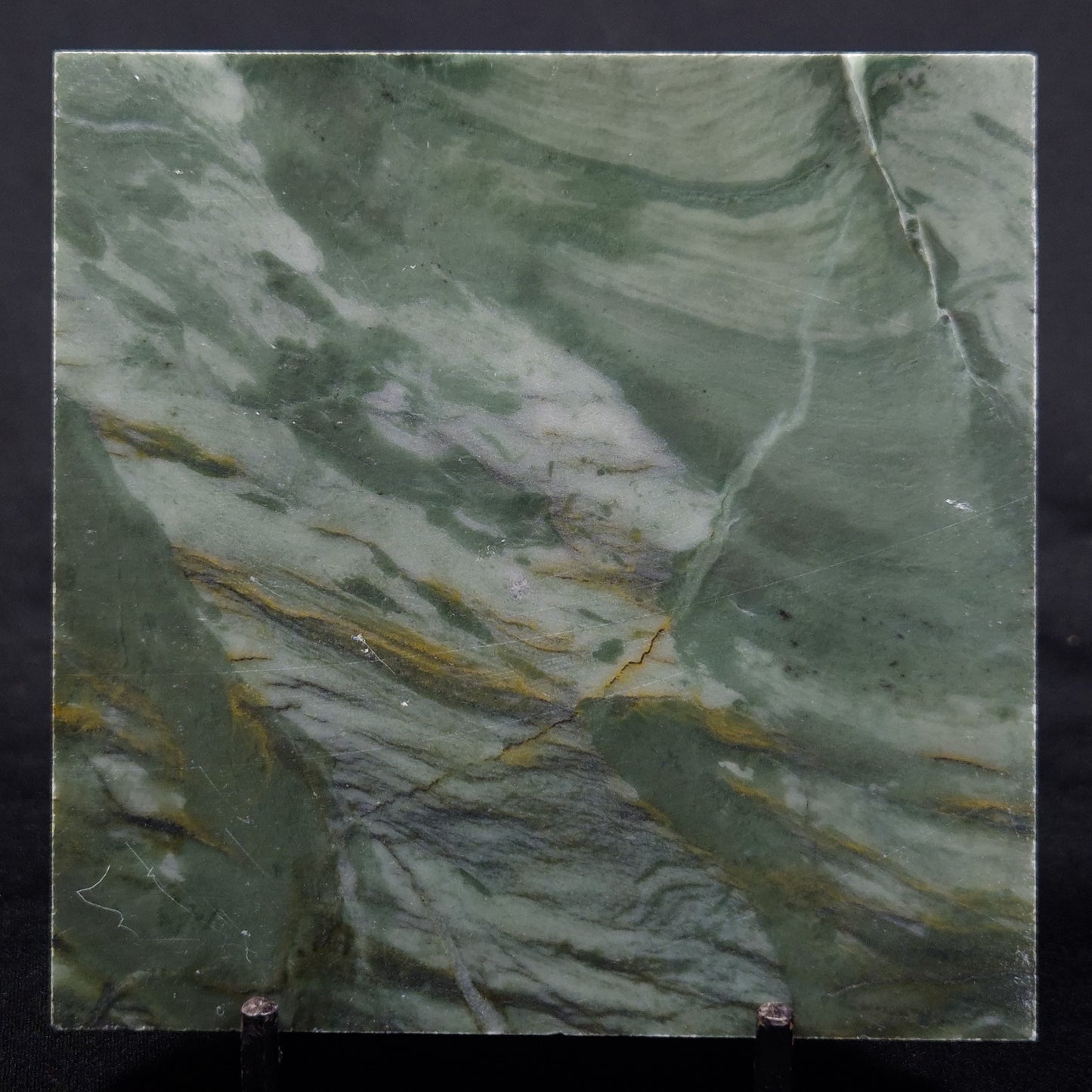 STROMATOLITE BAICALIA CAPRICORNIA, Mesoproterozoic, Australia ZBC029