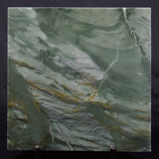 STROMATOLITE BAICALIA CAPRICORNIA, Mesoproterozoic, Australia ZBC029