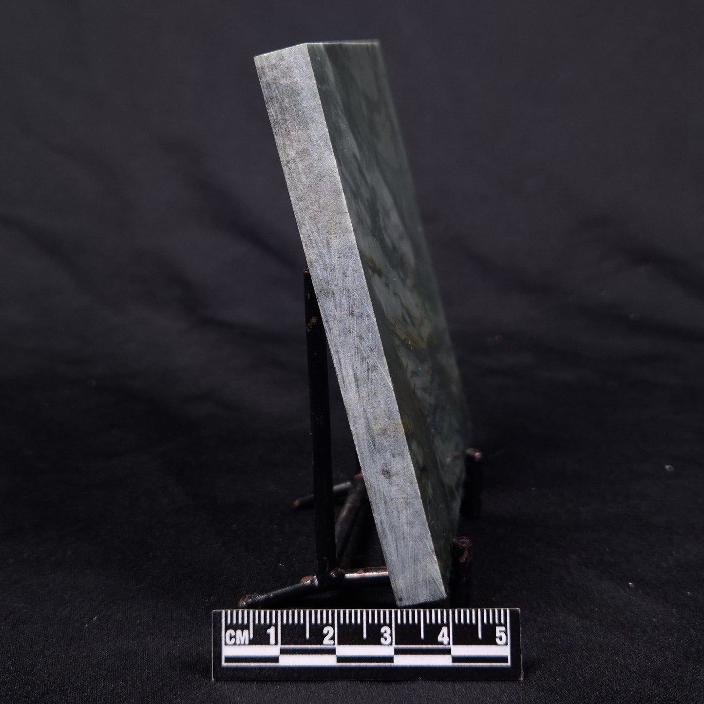 STROMATOLITE BAICALIA CAPRICORNIA, Mesoproterozoic, Australia ZBC029