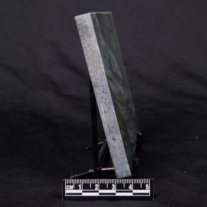 STROMATOLITE BAICALIA CAPRICORNIA, Mesoproterozoic, Australia ZBC029