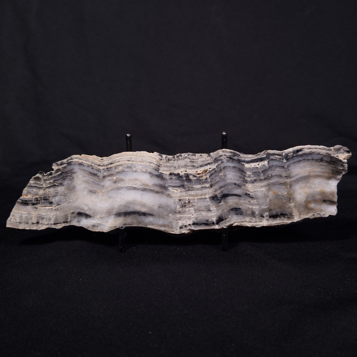 MOUNT MCGRATH STROMATOLITE, Lower Proterozoic, Australia ZMG039