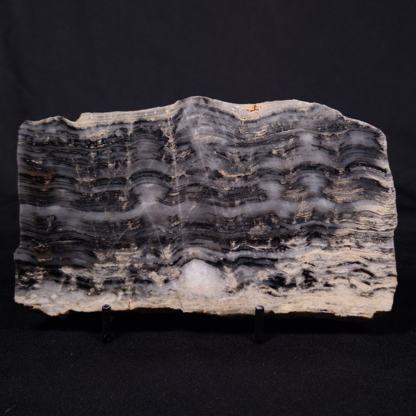 MOUNT MCGRATH STROMATOLITE, Lower Proterozoic, Australia ZMG040