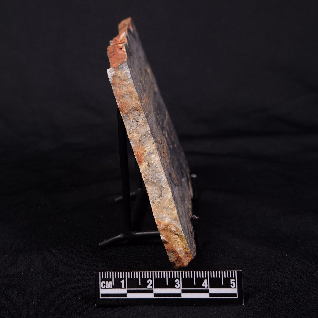 MOUNT MCGRATH STROMATOLITE, Lower Proterozoic, Australia ZMG043