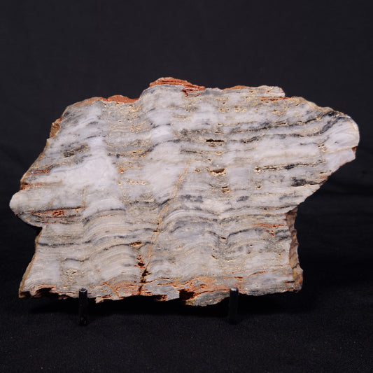 MOUNT MCGRATH STROMATOLITE, Lower Proterozoic, Australia ZMG045