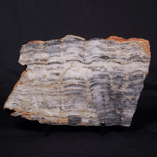 MOUNT MCGRATH STROMATOLITE, Lower Proterozoic, Australia ZMG046