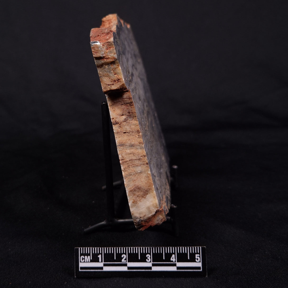 MOUNT MCGRATH STROMATOLITE, Lower Proterozoic, Australia ZMG046