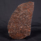 LINELLA AVIS STROMATOLITE, Proterozoic, Australia ZLA032