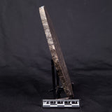 LINELLA AVIS STROMATOLITE, Proterozoic, Australia ZLA034