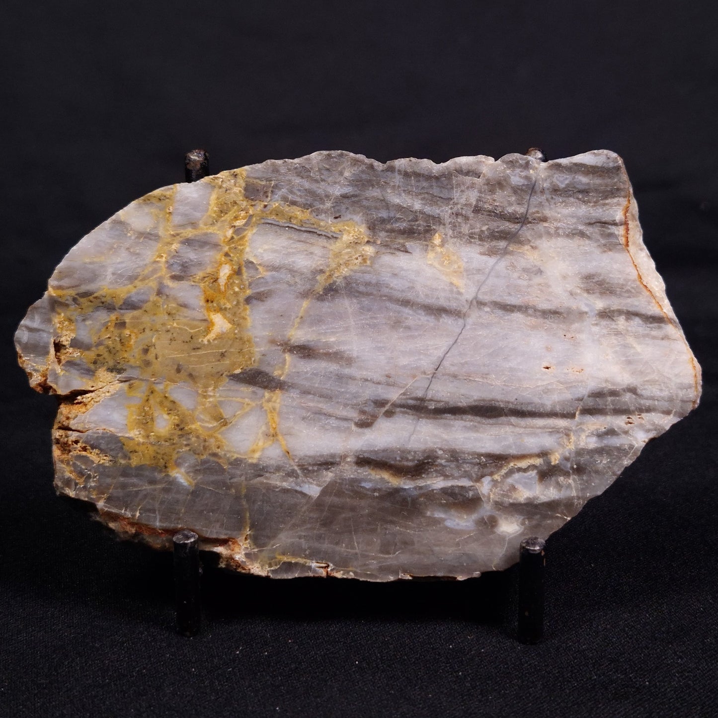 LINELLA AVIS STROMATOLITE, Neoproterozoic, Australia ZLA049