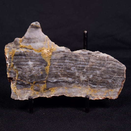 LINELLA AVIS STROMATOLITE, Neoproterozoic, Australia ZLA051