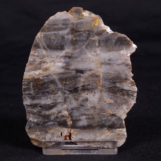 LINELLA AVIS STROMATOLITE, Neoproterozoic, Australia ZLA053