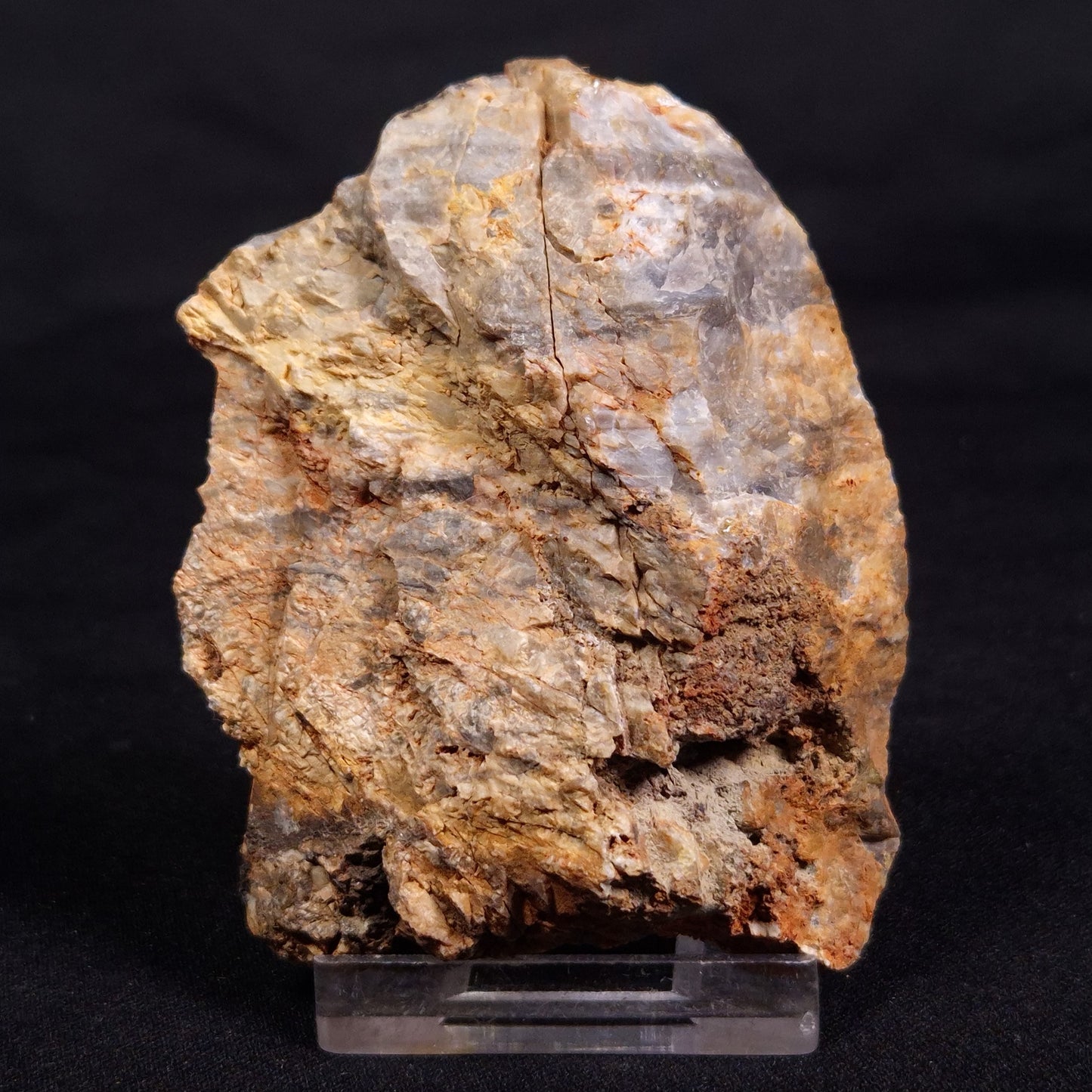 LINELLA AVIS STROMATOLITE, Neoproterozoic, Australia ZLA053