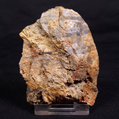LINELLA AVIS STROMATOLITE, Neoproterozoic, Australia ZLA053