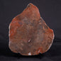 ACACIELLA AUSTRALICA STROMATOLITE, Proterozoic, Australia ZAA016