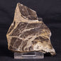 ACACIELLA AUSTRALICA STROMATOLITE, Proterozoic, Australia ZAA027