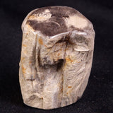 PETRIFIED WOOD, Jurassic, Australia XPL025
