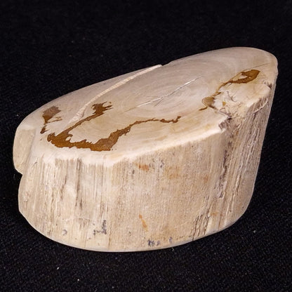 PETRIFIED WOOD, Jurassic, Australia XPL029
