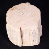 PETRIFIED WOOD, Jurassic, Australia XPL030