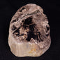 PETRIFIED WOOD, Jurassic, Australia XPL035