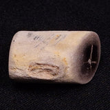 PETRIFIED WOOD, Jurassic, Australia XPL007