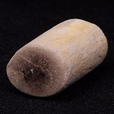 PETRIFIED WOOD, Jurassic, Australia XPL007
