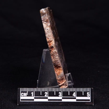 STROMATOLITE, Jerrinah Formation, Proterozoic, Australia ZJF055