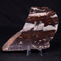 STROMATOLITE, Jerrinah Formation, Proterozoic, Australia ZJF056