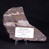 STROMATOLITE, Jerrinah Formation, Proterozoic, Australia ZJF056