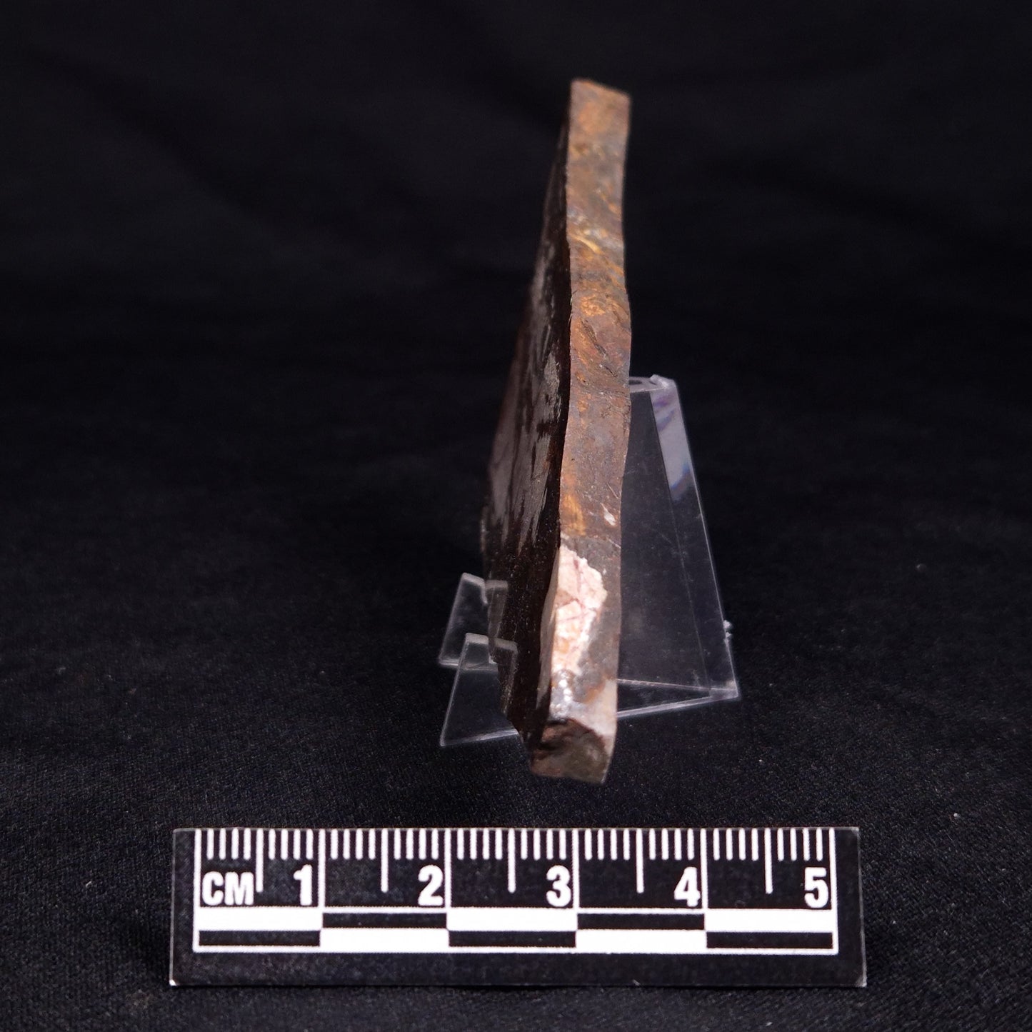 STROMATOLITE, Jerrinah Formation, Proterozoic, Australia ZJF057