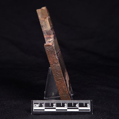 STROMATOLITE, Jerrinah Formation, Proterozoic, Australia ZJF058