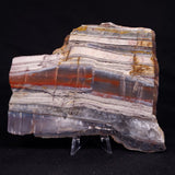 STROMATOLITE, Jerrinah Formation, Proterozoic, Australia ZJF059