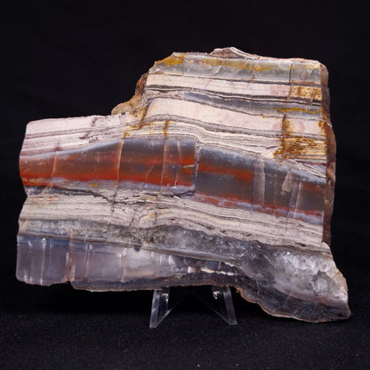 STROMATOLITE, Jerrinah Formation, Proterozoic, Australia ZJF059