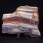 STROMATOLITE, Jerrinah Formation, Proterozoic, Australia ZJF059